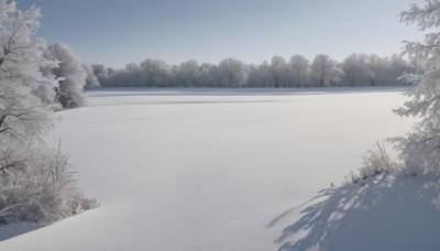 monochrome,outdoors,sky,day,tree,blue sky,no humans,shadow,grass,nature,scenery,snow,forest,winter,bare tree,greyscale,plant