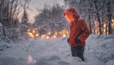 solo, 1boy, jacket, male focus, outdoors, pants, hood, blurry, from side, tree, glowing, black pants, scenery, snow, hood up, lantern, snowing, hands in pockets, winter, bare tree