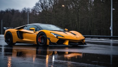 outdoors,sky,cloud,tree,no humans,ground vehicle,nature,scenery,motor vehicle,forest,reflection,rain,car,road,vehicle focus,lamppost,grey sky,wheel,sports car,solo