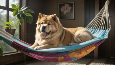 HQ,closed eyes,flower,lying,day,tongue,indoors,tongue out,no humans,window,animal,floral print,sleeping,plant,dog,wooden floor,realistic,potted plant,animal focus,flower pot,looking at viewer,open mouth,sky,artist name,cloud,signature,fangs,cat,instrument