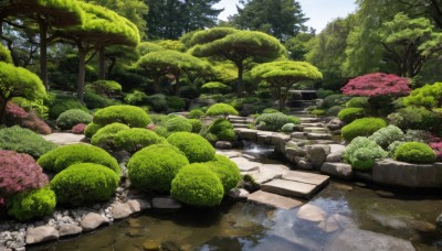 outdoors,sky,day,water,tree,no humans,grass,cherry blossoms,nature,scenery,forest,reflection,rock,stairs,road,bush,river,path,moss,pond,cloud,blue sky,plant