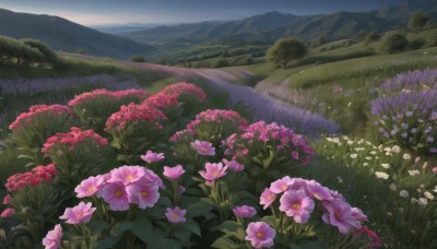 flower,outdoors,sky,day,cloud,tree,no humans,grass,nature,scenery,pink flower,mountain,purple flower,field,flower field,landscape,mountainous horizon,blue sky,cloudy sky,red flower,forest,road,bush