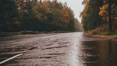 outdoors,sky,day,water,tree,no humans,leaf,sunlight,grass,nature,scenery,forest,reflection,road,bush,autumn leaves,river,autumn,realistic,landscape