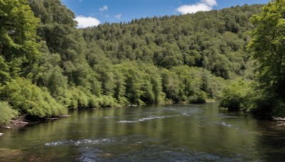 outdoors,sky,day,cloud,signature,water,tree,blue sky,no humans,sunlight,cloudy sky,nature,scenery,forest,reflection,river,landscape,lake,reflective water