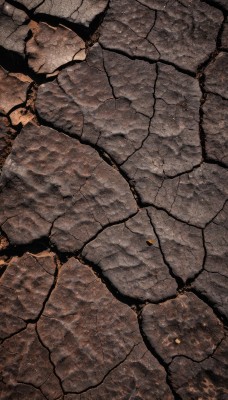 solo,outdoors,water,no humans,animal,from above,traditional media,scenery,rock,stone floor,tree,shadow,leaf,reflection,branch,autumn leaves,ripples,stone,cracked floor