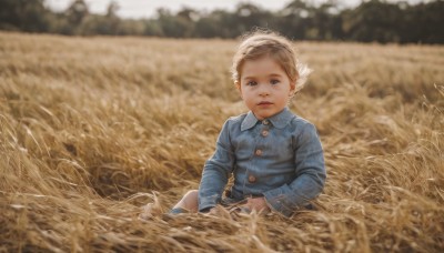 1girl,solo,looking at viewer,short hair,blue eyes,blonde hair,brown hair,shirt,long sleeves,hat,sitting,closed mouth,outdoors,shorts,day,collared shirt,signature,blurry,buttons,depth of field,blurry background,grass,blue shirt,child,realistic,field,1boy,male focus,parted lips,denim,wind,male child,fine art parody,denim jacket,wheat