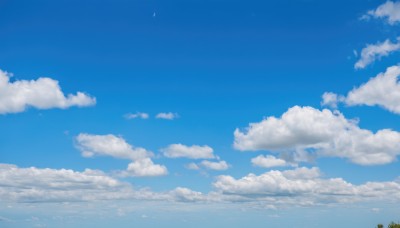 flower,outdoors,sky,day,cloud,blue sky,no humans,cloudy sky,grass,nature,scenery,sunflower,horizon,field,summer,cumulonimbus cloud,signature,plant,blue theme