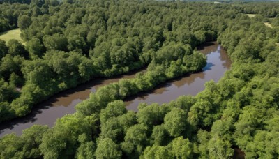 outdoors,sky,day,water,tree,no humans,grass,nature,scenery,forest,reflection,bush,river,landscape,lake,plant,green theme