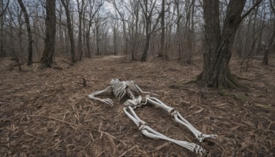 solo,outdoors,lying,tree,no humans,grass,nature,scenery,forest,skull,ribs,skeleton,bare tree,bone,death,corpse,horror (theme)