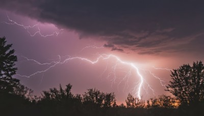 outdoors,sky,cloud,tree,no humans,cloudy sky,nature,scenery,forest,electricity,lightning,monochrome,sunset