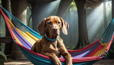 HQ,solo,outdoors,day,collar,tree,no humans,animal,umbrella,sunlight,plant,nature,forest,dog,light rays,realistic,watercraft,sunbeam,animal focus,tongue,tongue out,leaf,dappled sunlight,animal collar,blue collar