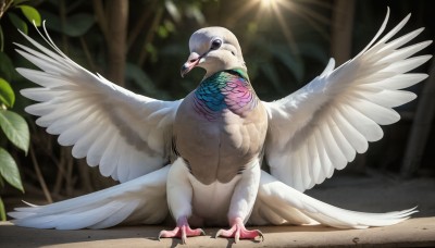 HQ,solo,closed mouth,standing,full body,closed eyes,outdoors,wings,day,blurry,tree,no humans,blurry background,bird,animal,leaf,sunlight,feathers,nature,feathered wings,light rays,realistic,animal focus,talons,beak,looking at viewer,pokemon (creature),plant