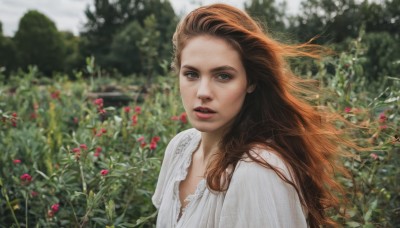 1girl,solo,long hair,looking at viewer,blue eyes,brown hair,dress,upper body,flower,outdoors,parted lips,day,white dress,blurry,tree,lips,depth of field,blurry background,plant,nature,freckles,realistic,nose,open mouth,shirt,brown eyes,white shirt,teeth,floating hair,sunlight,blouse,wind,forest,garden