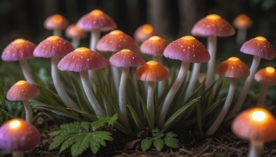 outdoors,artist name,signature,blurry,no humans,depth of field,blurry background,leaf,sunlight,grass,plant,nature,scenery,forest,mushroom,still life,day,tree,light rays,realistic,moss