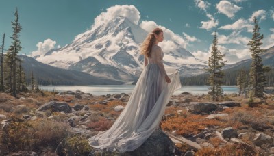 1girl,solo,long hair,blonde hair,brown hair,long sleeves,dress,standing,outdoors,sky,day,cloud,water,from behind,white dress,tree,blue sky,see-through,profile,bird,cloudy sky,nature,scenery,forest,rock,mountain,skirt hold,see-through sleeves,landscape,mountainous horizon,lake,pine tree,closed mouth,braid,artist name,signature,grass,plant,long dress,wide shot