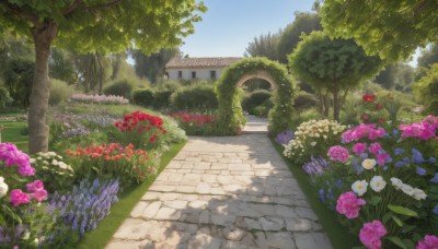 flower,outdoors,sky,day,tree,blue sky,no humans,sunlight,grass,plant,white flower,red flower,building,nature,scenery,pink flower,forest,stairs,purple flower,road,bush,house,path,garden,window,shadow,blue flower,shade