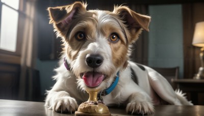 HQ,looking at viewer,brown eyes,food,tongue,indoors,tongue out,blurry,collar,no humans,window,depth of field,blurry background,animal,table,curtains,dog,realistic,lamp,animal focus,animal collar,solo,open mouth,saliva,chair,desk