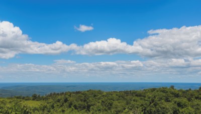 outdoors,sky,day,cloud,water,tree,blue sky,no humans,ocean,cloudy sky,grass,nature,scenery,forest,horizon,summer,landscape