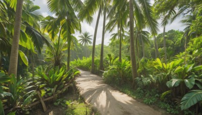 outdoors,sky,day,cloud,tree,blue sky,no humans,leaf,beach,sunlight,grass,plant,nature,scenery,forest,sand,palm tree,road,bush,shadow,path