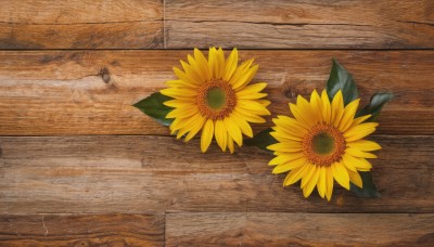 flower,outdoors,no humans,shadow,leaf,traditional media,scenery,yellow flower,sunflower,still life,wooden floor,wall,wooden table,wood