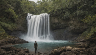 solo, 1boy, male focus, outdoors, water, from behind, tree, nature, scenery, forest, rock, waterfall