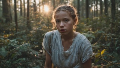 1girl,solo,looking at viewer,short hair,blue eyes,blonde hair,shirt,hat,dress,white shirt,upper body,short sleeves,outdoors,parted lips,white dress,blurry,tree,lips,depth of field,blurry background,leaf,sunlight,plant,nature,forest,freckles,realistic,straw hat,jewelry,necklace,mole,torn clothes,bug,curly hair