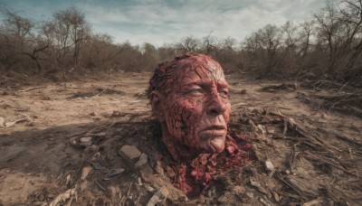 solo,1boy,green eyes,male focus,outdoors,sky,day,cloud,tree,no humans,cloudy sky,nature,scenery,forest,realistic,bald,ruins,bare tree,death,corpse,closed mouth,facial hair,portrait,science fiction,rock