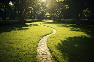 outdoors,day,tree,no humans,sunlight,grass,nature,scenery,forest,road,bush,green theme,path,pavement,shadow,plant,street