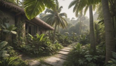 outdoors,sky,day,tree,no humans,window,leaf,sunlight,grass,plant,building,nature,scenery,forest,palm tree,bush,shade,house