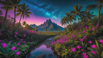 flower, outdoors, sky, cloud, water, tree, no humans, night, grass, plant, star (sky), nature, night sky, scenery, starry sky, sunset, mountain, palm tree