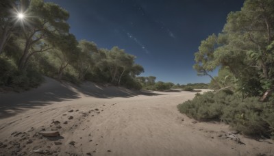 outdoors,sky,signature,tree,no humans,night,shadow,grass,plant,star (sky),nature,night sky,scenery,forest,starry sky,road,bush,shooting star,water,beach,rock,sand,shore,desert