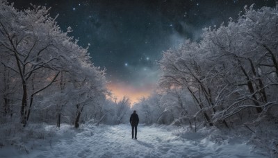 solo,1boy,standing,outdoors,sky,signature,from behind,tree,night,star (sky),nature,night sky,scenery,snow,forest,starry sky,snowing,silhouette,winter,bare tree,footprints,male focus,coat,grass,hands in pockets,dark,wide shot