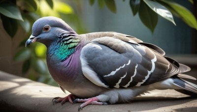 HQ,solo,looking at viewer,red eyes,full body,outdoors,lying,wings,day,blurry,from side,tree,no humans,depth of field,blurry background,bird,animal,leaf,feathers,on stomach,claws,realistic,animal focus,talons,beak,closed mouth,pokemon (creature)