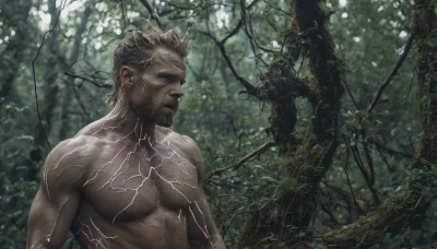 solo, short hair, blonde hair, 1boy, upper body, male focus, nude, outdoors, tree, muscular, facial hair, scar, pectorals, muscular male, nature, bara, beard, scar on face, forest, large pectorals, mature male, realistic, branch