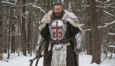 solo,looking at viewer,brown hair,black hair,1boy,holding,closed mouth,standing,weapon,male focus,outdoors,belt,sword,cape,holding weapon,armor,tree,fur trim,facial hair,scar,holding sword,shoulder armor,gauntlets,nature,beard,scar on face,snow,forest,pauldrons,breastplate,snowing,mustache,scar across eye,hair slicked back,bare tree,chainmail,short hair,cross,sheath,realistic,manly,winter