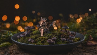 1girl,solo,long hair,smile,bangs,brown hair,black hair,dress,bare shoulders,sitting,closed eyes,flower,multicolored hair,outdoors,wings,barefoot,sleeveless,virtual youtuber,blunt bangs,blurry,black dress,night,sleeveless dress,depth of field,blurry background,grass,bug,scenery,minigirl,fairy wings,fairy,mushroom,wide shot,bokeh,butterfly wings,blonde hair,hat,bow,very long hair,striped,water,bare arms,bare legs,polka dot,butterfly,nature,bowl,rock,river,moss