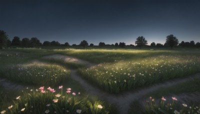 flower,outdoors,sky,tree,no humans,night,grass,white flower,star (sky),nature,night sky,scenery,forest,starry sky,road,field,path,water,pink flower,reflection,bush,river,lake,reflective water