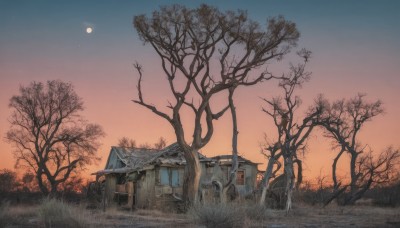 outdoors,sky,cloud,tree,no humans,window,night,moon,grass,building,star (sky),nature,scenery,full moon,forest,sunset,door,road,house,bare tree,gradient sky,water,plant,chimney