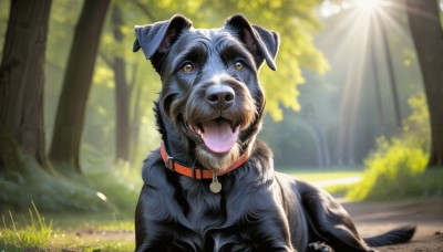 HQ,solo,yellow eyes,outdoors,day,tongue,tongue out,blurry,collar,tree,no humans,depth of field,blurry background,animal,sunlight,grass,nature,forest,dog,light rays,realistic,leash,animal focus,animal collar,looking at viewer,open mouth,brown eyes,artist name,signature,watermark