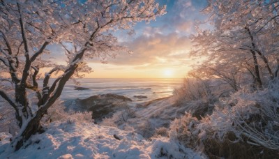 outdoors,sky,cloud,water,tree,blue sky,dutch angle,no humans,sunlight,cloudy sky,grass,nature,scenery,snow,sunset,mountain,sun,horizon,branch,winter,bare tree,landscape,sunrise,day,ocean