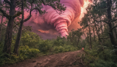 outdoors, sky, cloud, cape, tree, no humans, cloudy sky, nature, scenery, forest, path, red sky