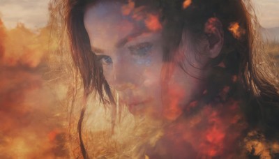 1girl,solo,long hair,looking at viewer,blue eyes,brown hair,black hair,closed mouth,outdoors,blurry,lips,eyelashes,leaf,sunlight,portrait,forehead,realistic,autumn leaves,autumn,depth of field,light smile,close-up,nose,dappled sunlight