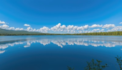 flower,outdoors,sky,day,cloud,water,tree,blue sky,no humans,cloudy sky,grass,plant,nature,scenery,reflection,horizon,field,landscape,reflective water,ocean,forest,summer,lake,island