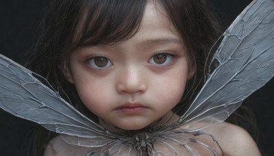 1girl, solo, long hair, looking at viewer, bangs, brown hair, black hair, brown eyes, closed mouth, wings, lips, expressionless, bug, black background, portrait, realistic