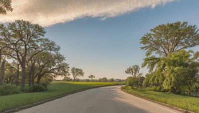 outdoors,sky,day,cloud,tree,blue sky,no humans,cloudy sky,grass,nature,scenery,road,bush,path,plant,forest,sunset,landscape