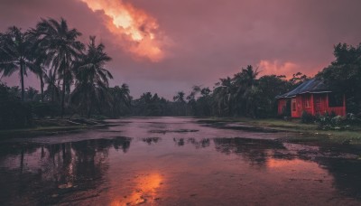 outdoors,sky,cloud,water,tree,no humans,cloudy sky,grass,plant,building,nature,scenery,forest,reflection,sunset,palm tree,evening,red sky,fire,rock,bush,architecture,house,east asian architecture,twilight,orange sky