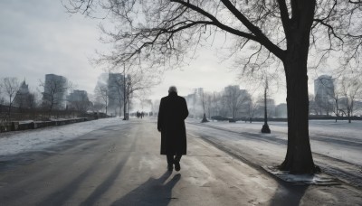 solo,long sleeves,1boy,standing,monochrome,male focus,outdoors,sky,cloud,from behind,tree,coat,shadow,cloudy sky,building,scenery,snow,walking,black coat,city,road,wide shot,winter,lamppost,bare tree,fog,greyscale,facing away,ambiguous gender,grey theme