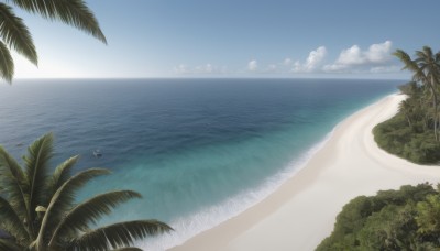 outdoors,sky,day,cloud,water,tree,blue sky,no humans,ocean,beach,nature,scenery,sand,palm tree,horizon,waves,shore,island,forest