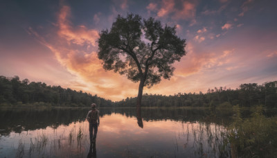 solo, 1boy, standing, male focus, outdoors, sky, cloud, water, tree, dutch angle, cloudy sky, grass, nature, scenery, reflection, sunset