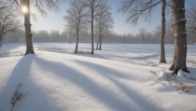 outdoors,sky,day,tree,no humans,shadow,nature,scenery,snow,forest,sun,silhouette,winter,bare tree,cloud,blue sky,realistic,landscape